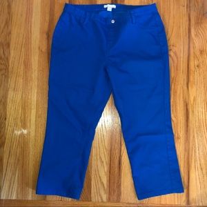 New York and Company Crop Pants